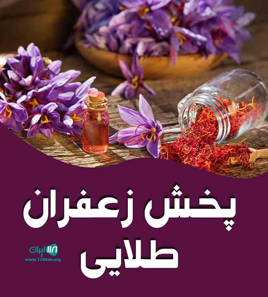 پخش زعفران طلایی در بیرجند