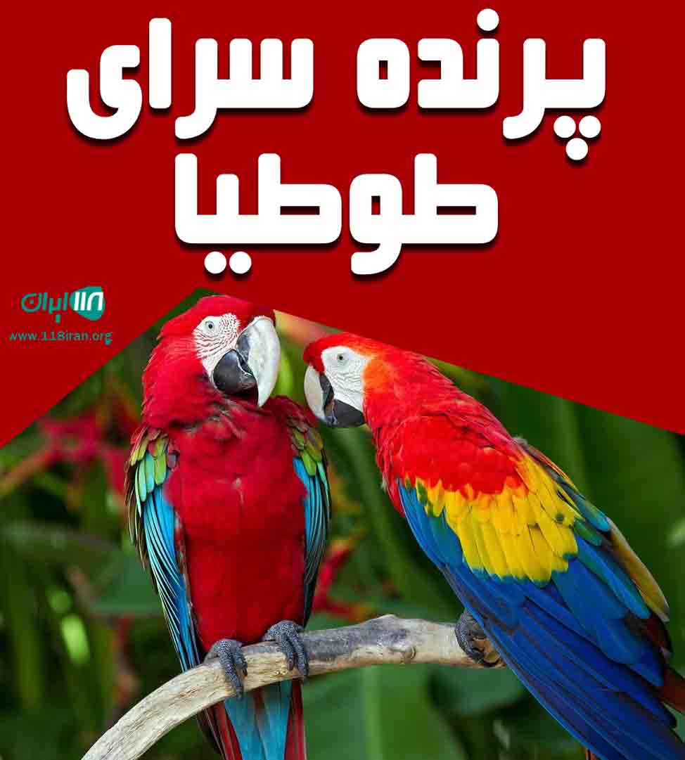 پرنده سرای طوطیا در سمنان پرنده سرای طوطیا در سمنان