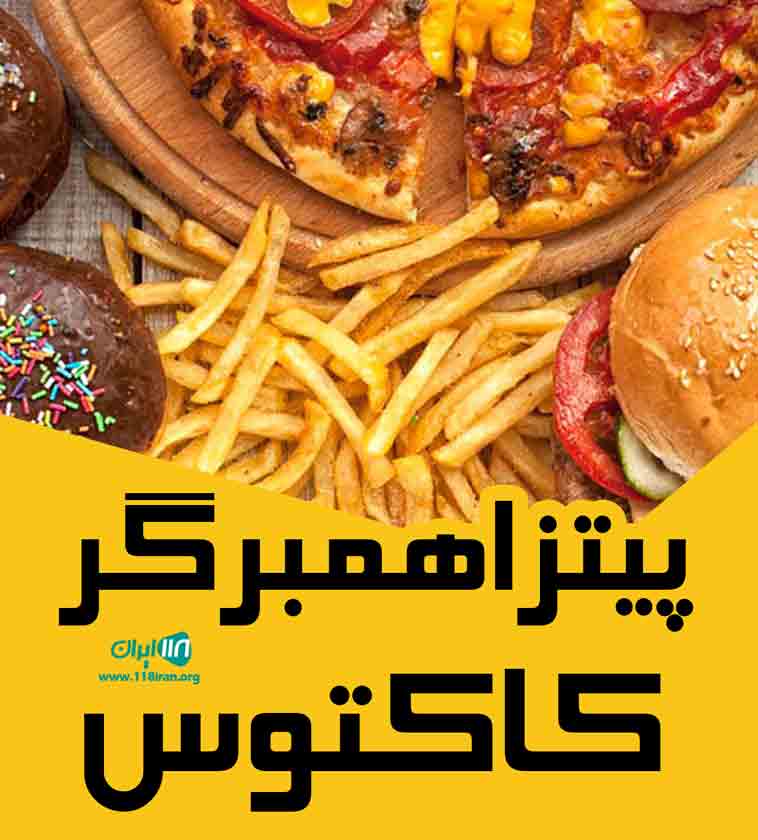 پیتزا همبرگر کاکتوس در یزد