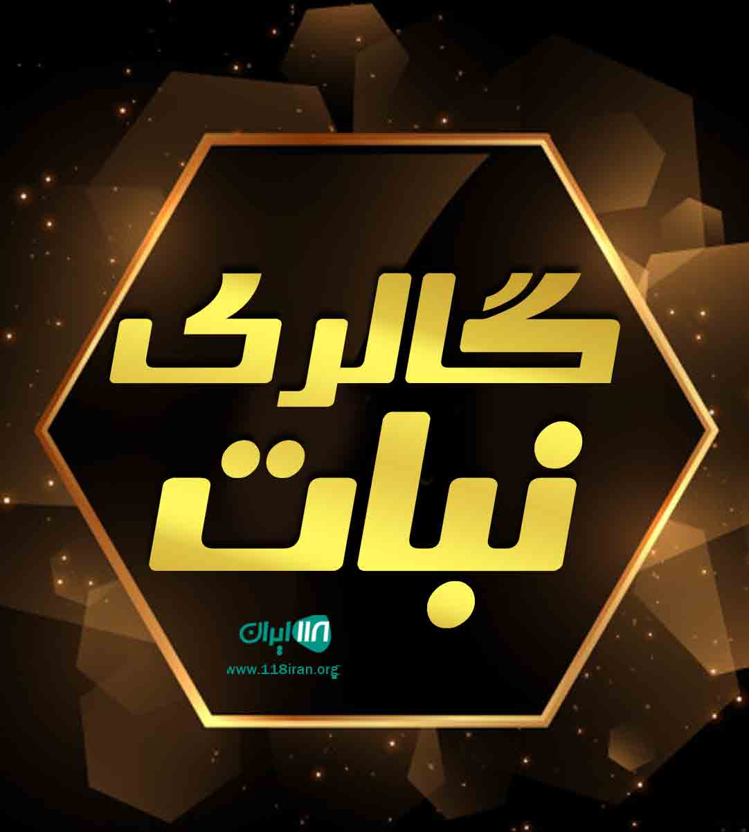 گالری نبات در اراک