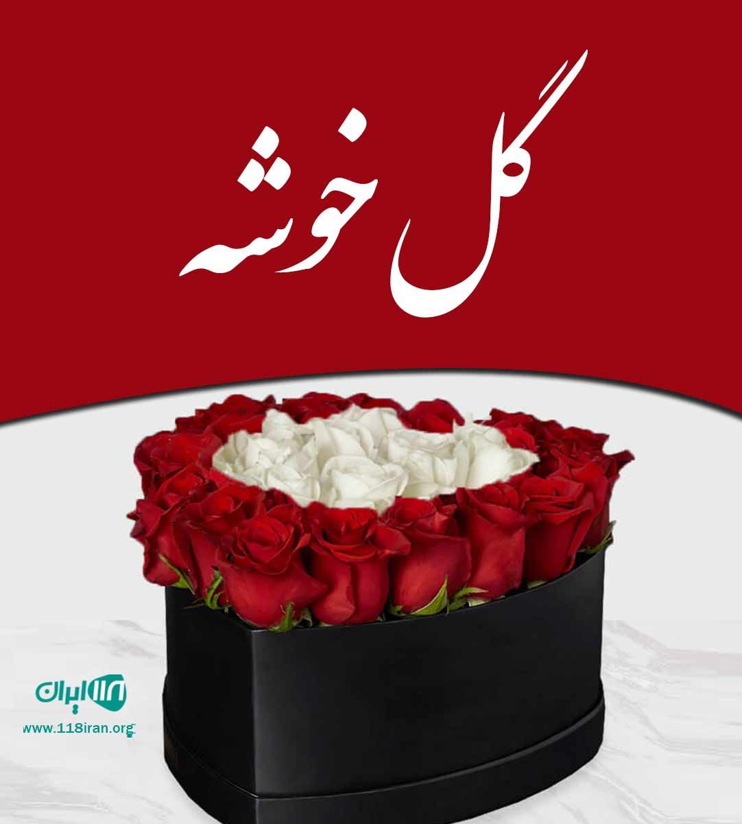 گل خوشه در کرمان گل خوشه در کرمان
