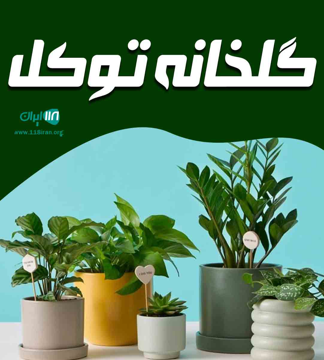 گلخانه توکل در سلمانشهر گلخانه توکل در سلمانشهر