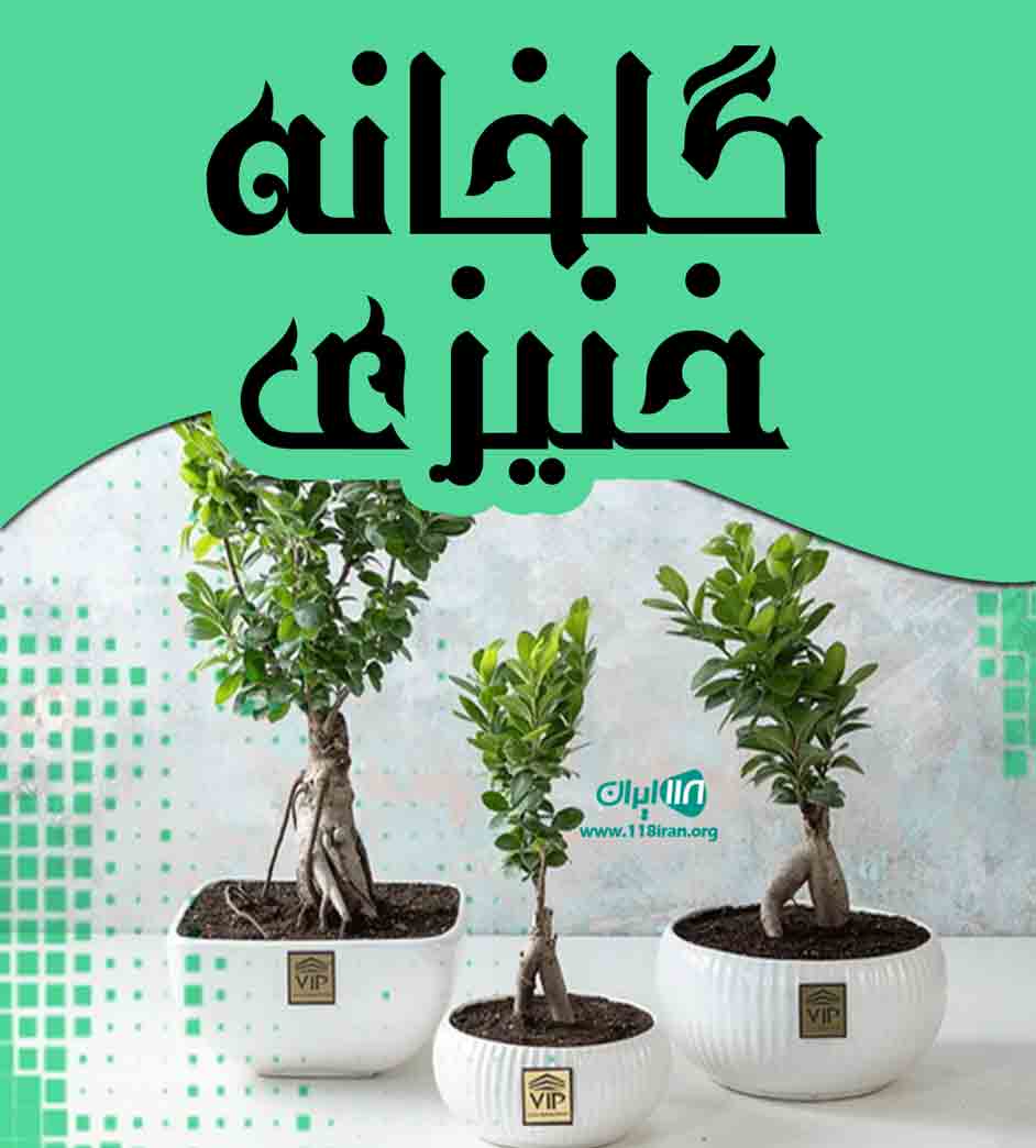 گلخانه خنیزی در بندرعباس گلخانه خنیزی در بندرعباس