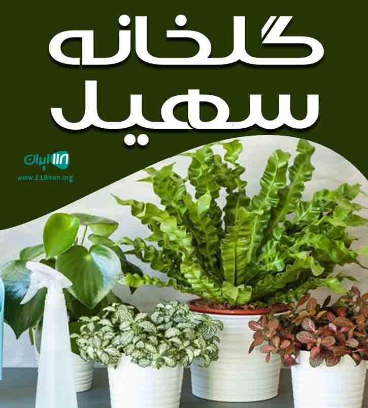 گلخانه سهیل در رحیم آباد رودسر