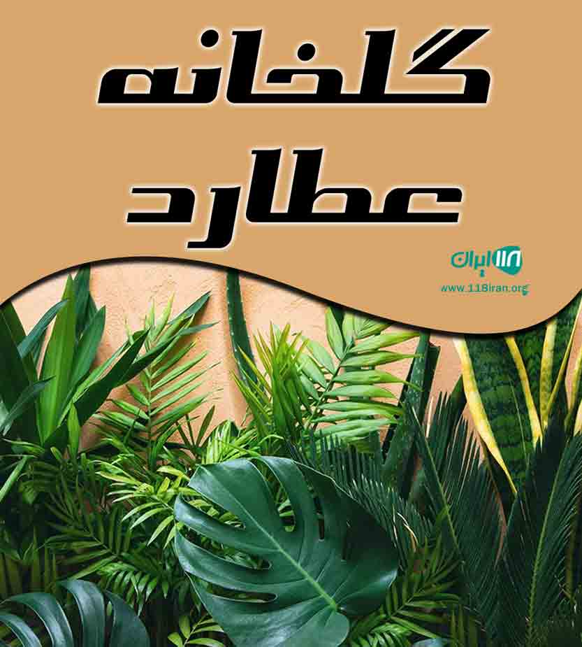 گلخانه عطارد در مشهد گلخانه عطارد در مشهد