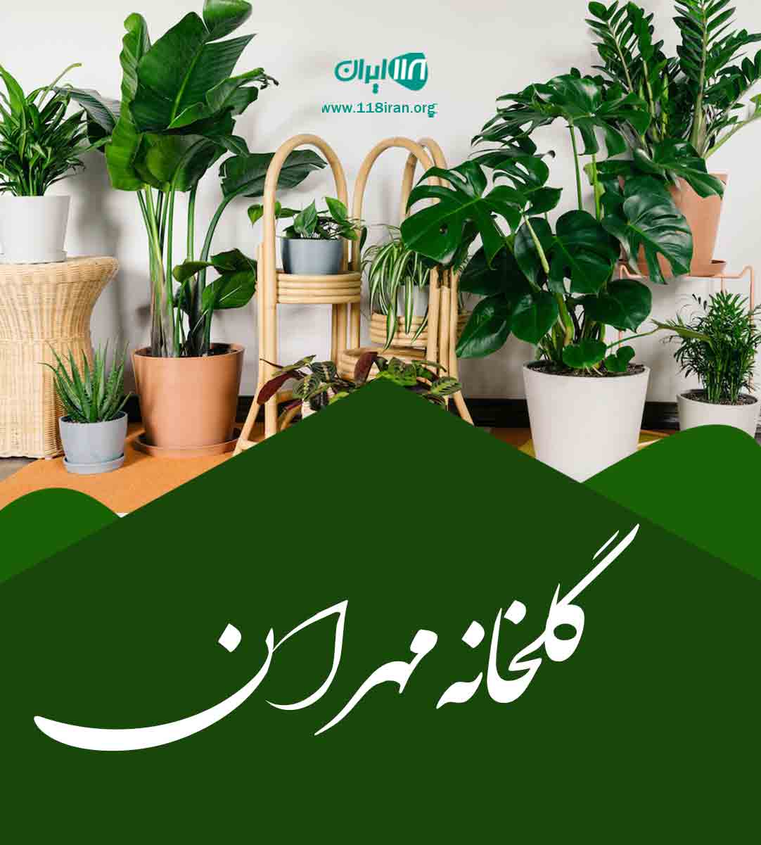 گلخانه مهران در مرند