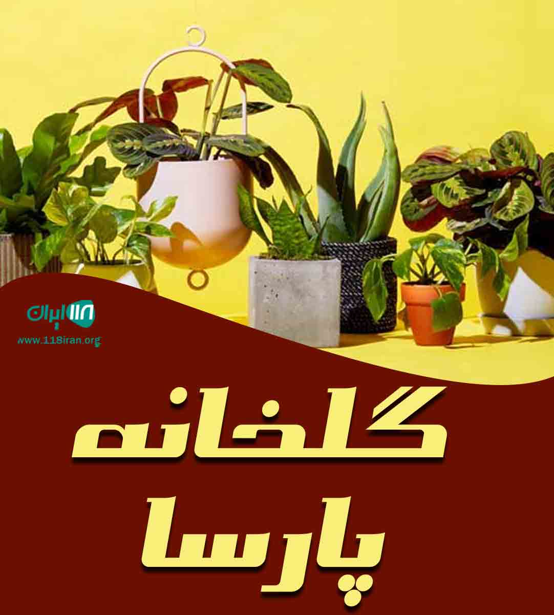 گلخانه پارسا در عباس آباد مازندران گلخانه پارسا در عباس آباد مازندران