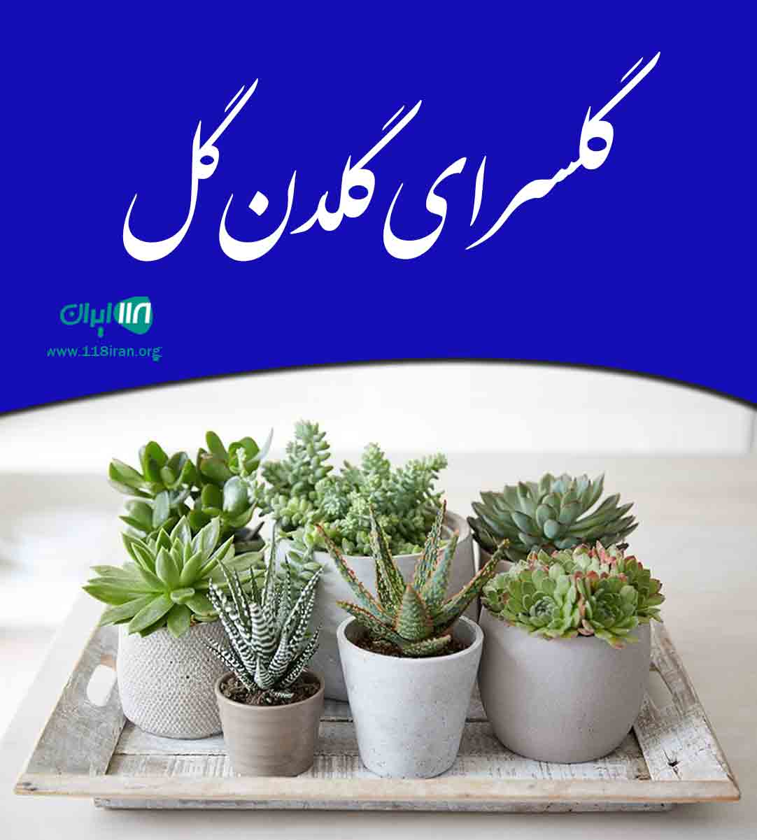 گلسرای گلدن گل در اصفهان