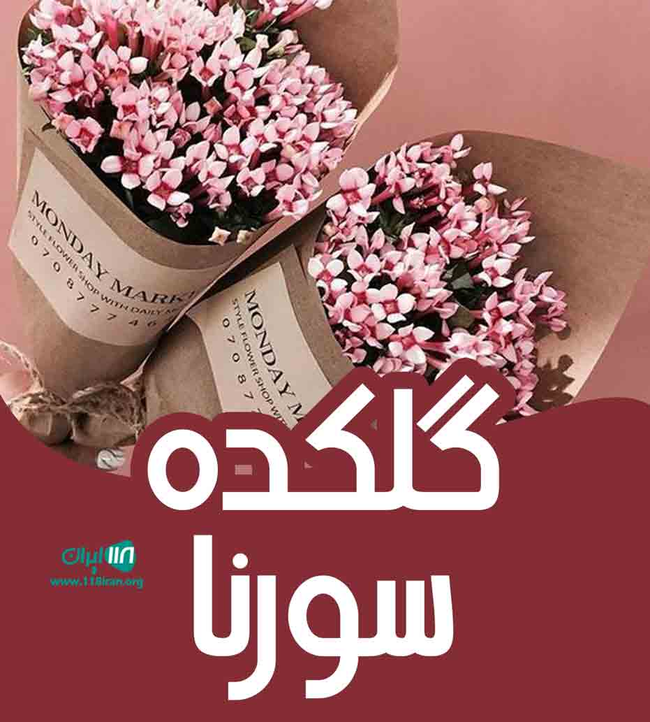 گلکده سورنا در سیاهکل گلکده سورنا در سیاهکل