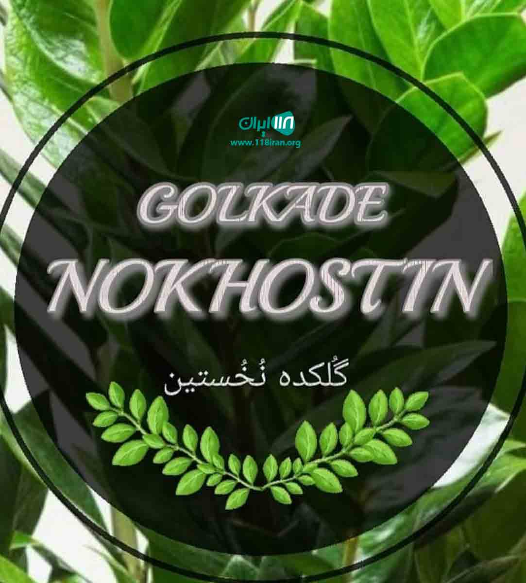 گلکده نخستین در عباس آباد مازندران گلکده نخستین در عباس آباد مازندران