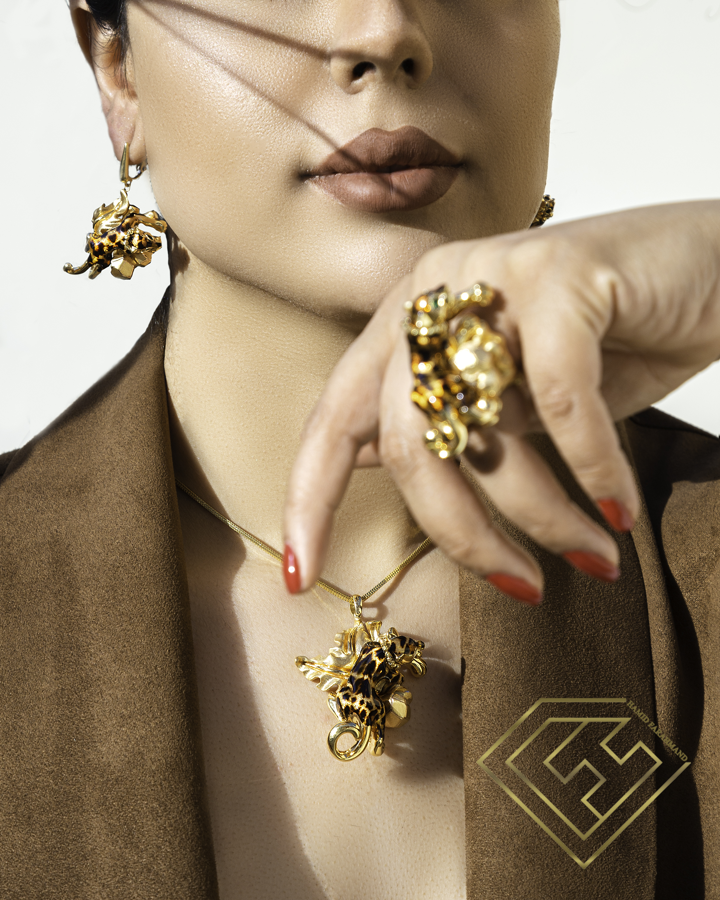 جواهری حمید فرهمند در یزد جواهری حمید فرهمند در یزد