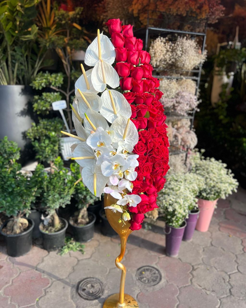 گلفروشی سیناگل در رشت گلفروشی سیناگل در رشت