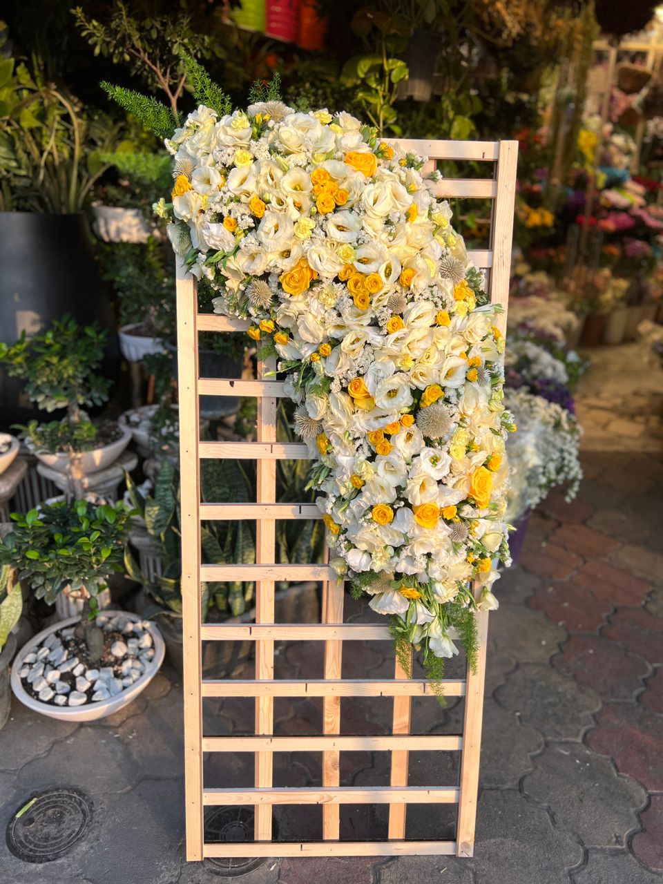 گلفروشی سیناگل در رشت گلفروشی سیناگل در رشت