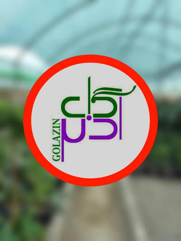 گلخانه گل آذین در رشت گلخانه گل آذین در رشت