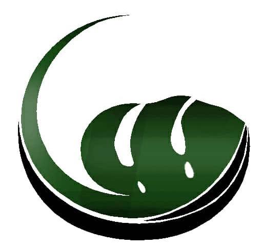 نقاشی روی پارچه سارا در شیراز