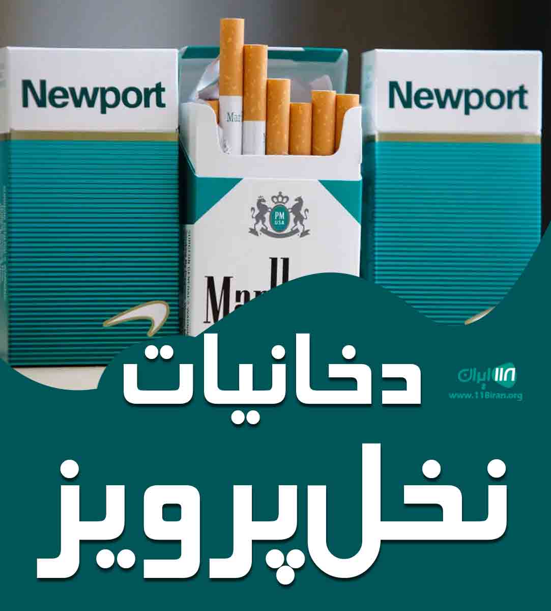 دخانیات نخل پرویز در زنجان دخانیات نخل پرویز در زنجان