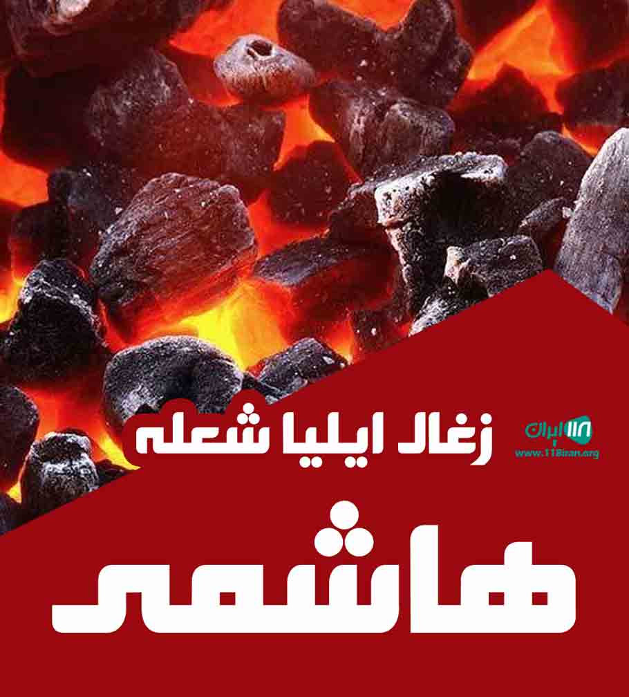 زغال ایلیا شعله هاشمی در تهران