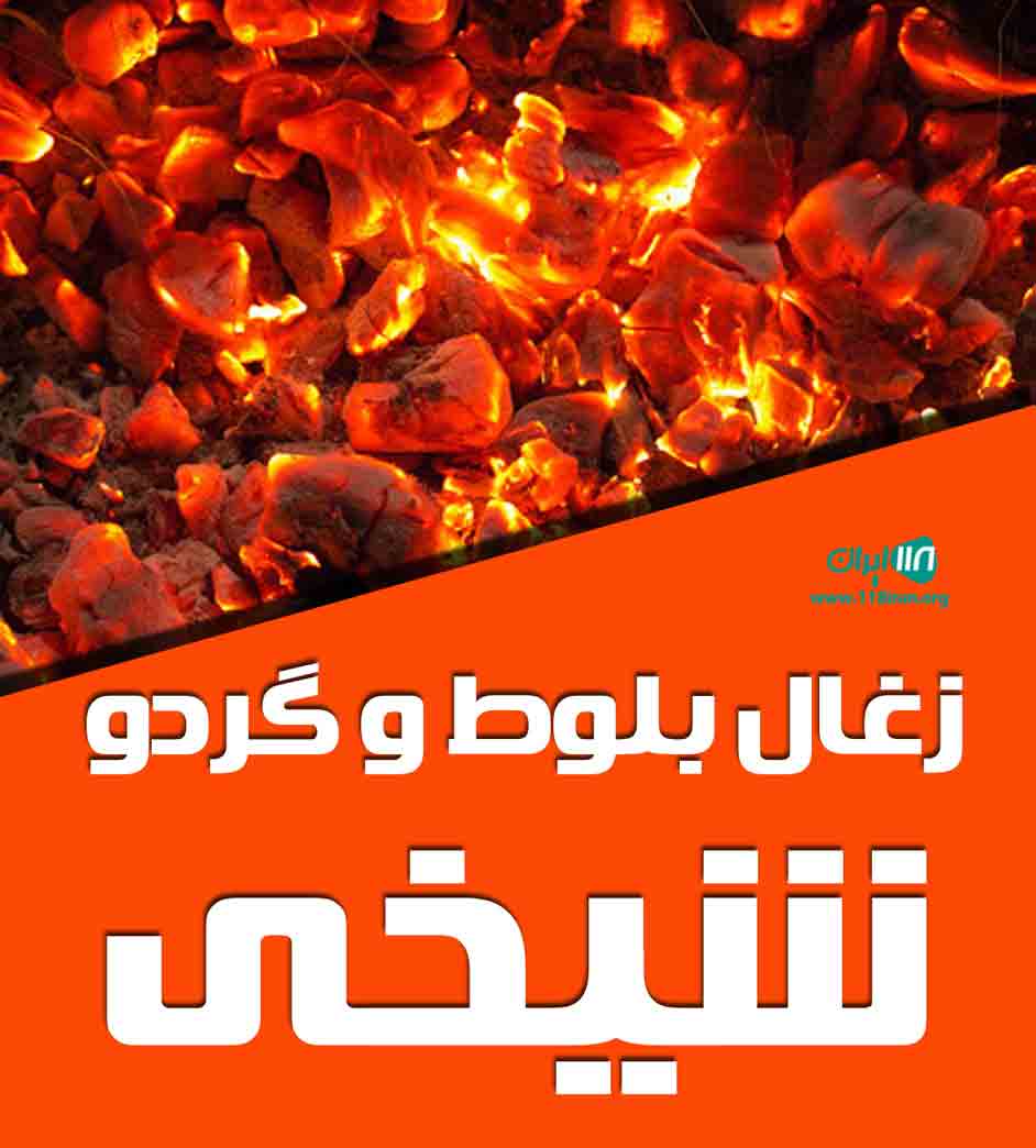 زغال بلوط و گردو شیخی در سردشت