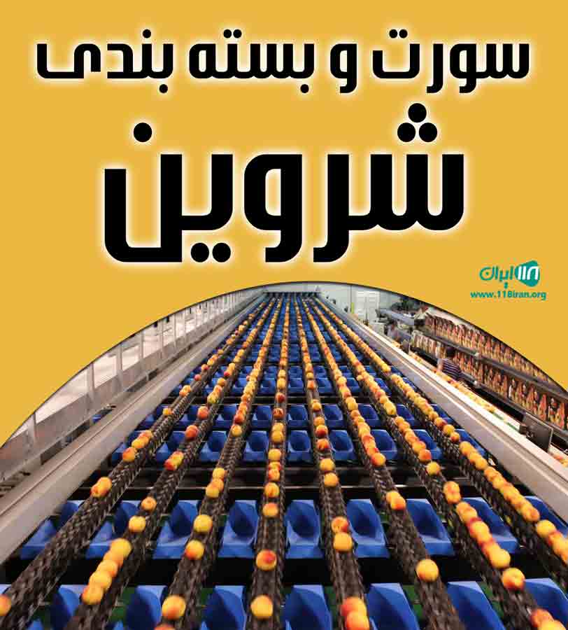 سورت و بسته بندی شروین در تیران اصفهان سورت و بسته بندی شروین در تیران اصفهان