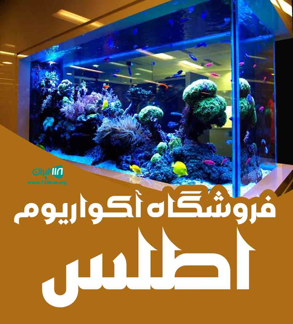فروشگاه آکواریوم اطلس در خوزستان