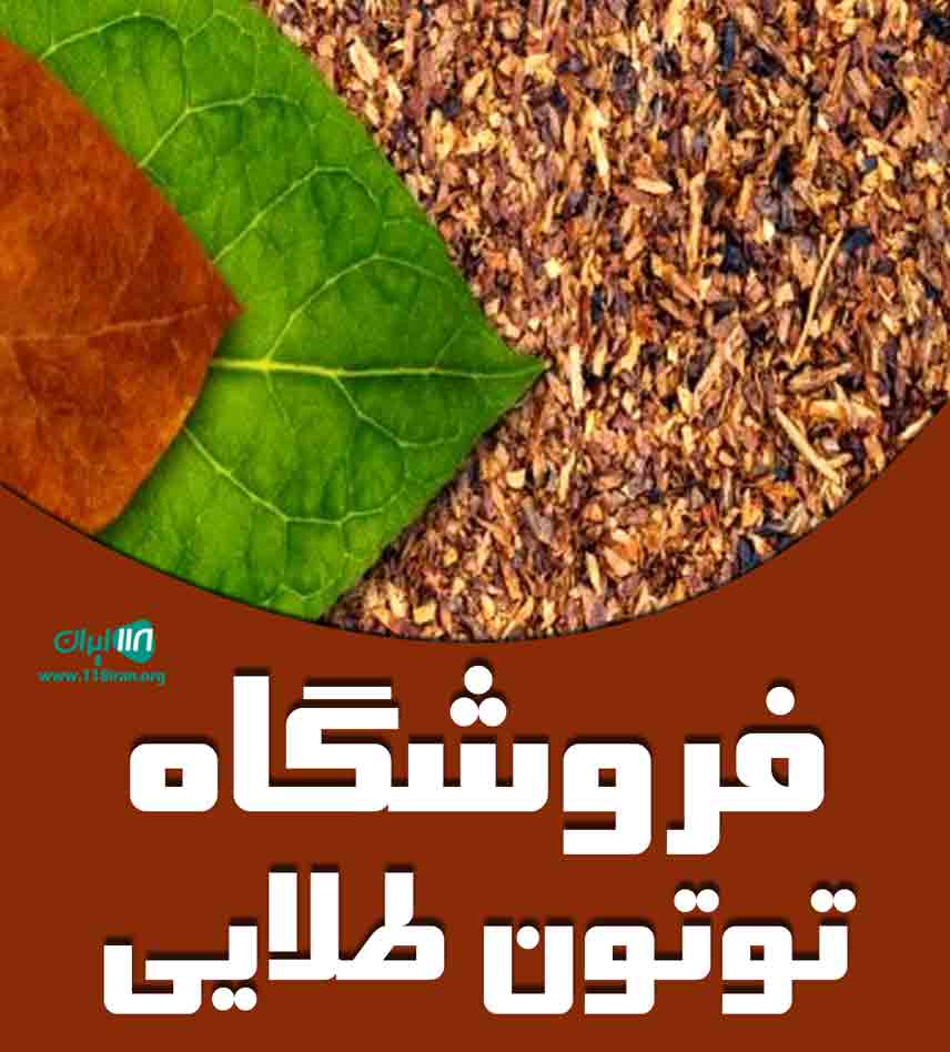 فروشگاه توتون طلایی در زنجان فروشگاه توتون طلایی در زنجان