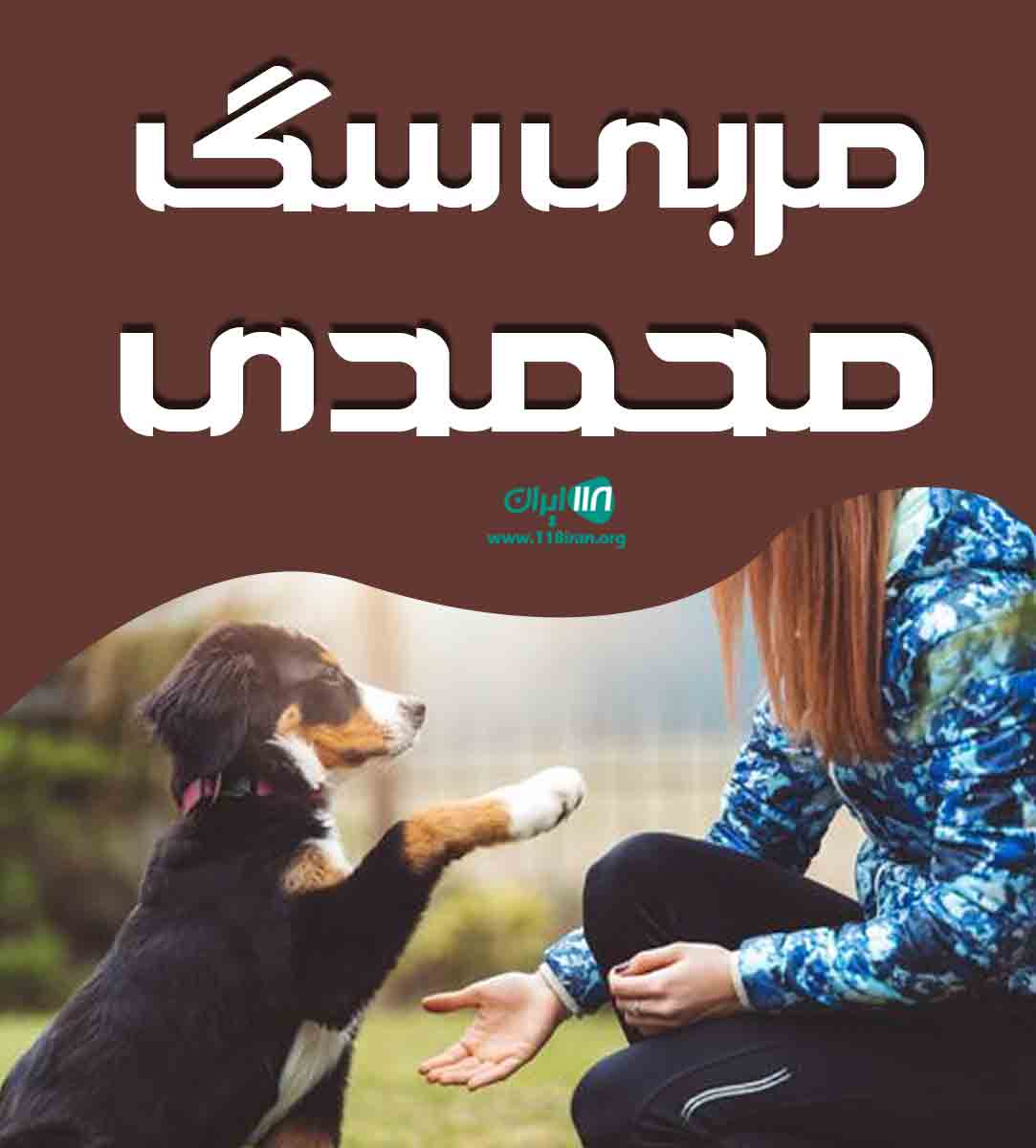 مربی سگ محمدی در شهسوار مربی سگ محمدی در شهسوار