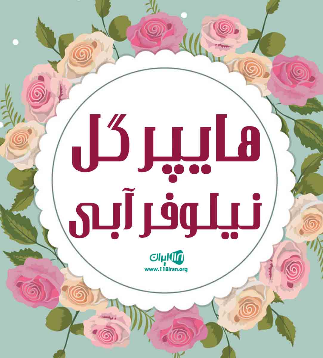 هایپر گل نیلوفر آبی در آستانه اشرفیه هایپر گل نیلوفر آبی در آستانه اشرفیه