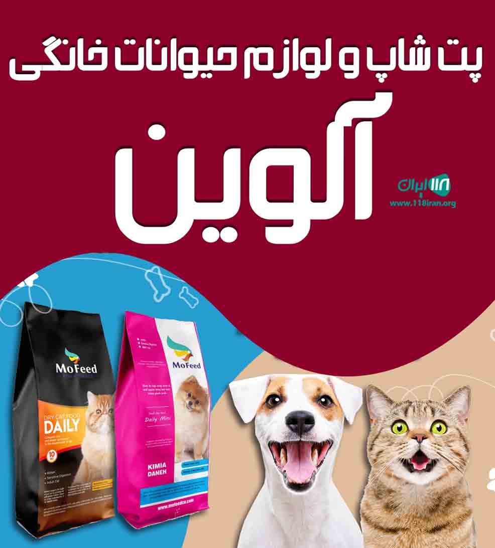پت شاپ و لوازم حیوانات خانگی آلوین در رشت پت شاپ و لوازم حیوانات خانگی آلوین در رشت