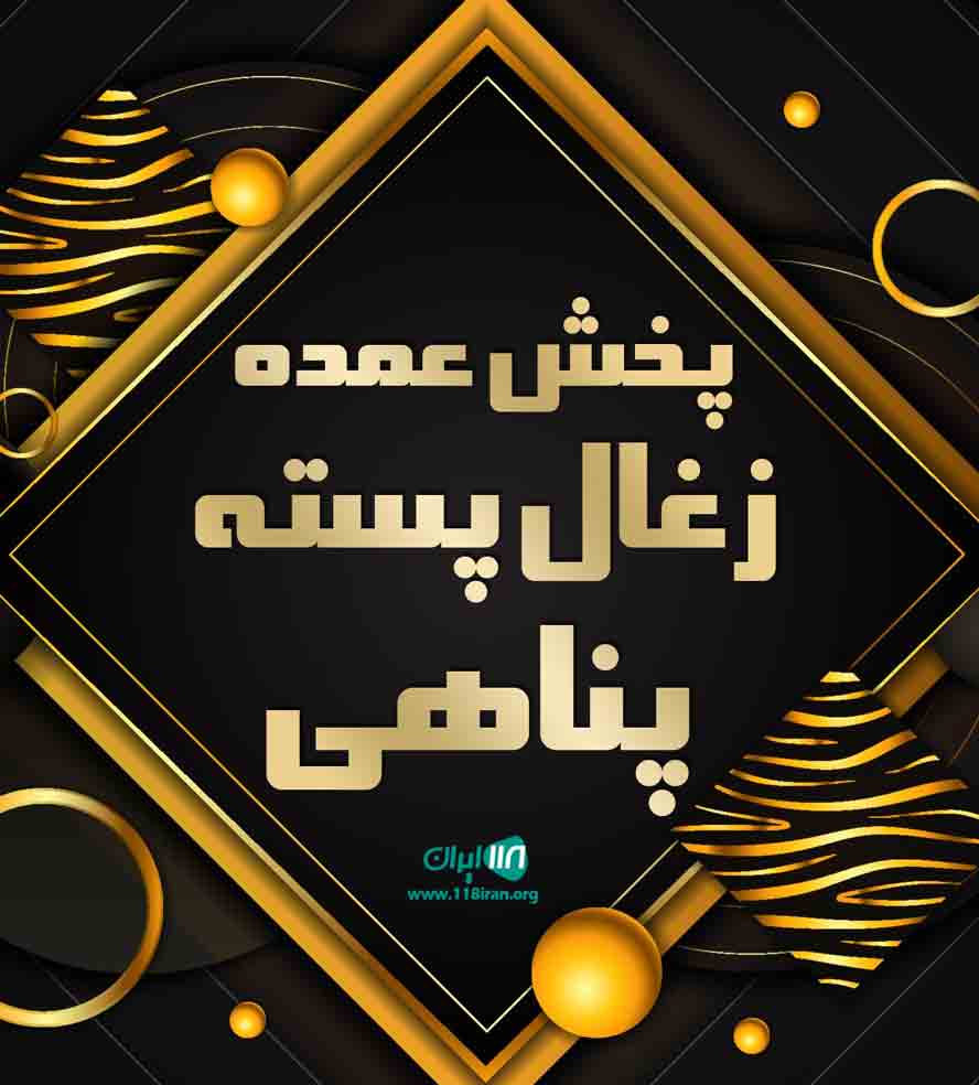 پخش عمده زغال پسته پناهی در دهگلان کردستان پخش عمده زغال پسته پناهی در دهگلان کردستان