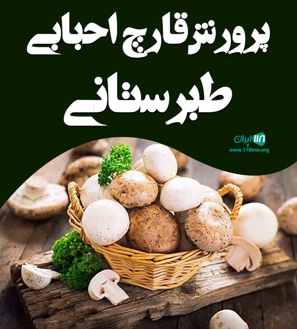 پرورش قارچ احبابی طبرستانی در مازندران