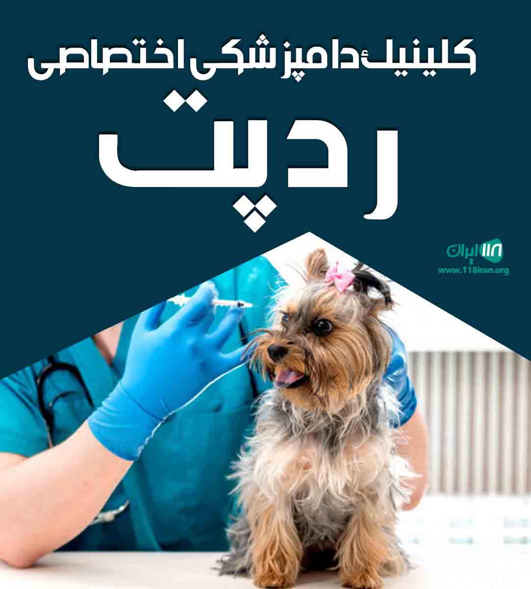 کلینیک دامپزشکی اختصاصی رد پت در زاهدان کلینیک دامپزشکی اختصاصی رد پت در زاهدان