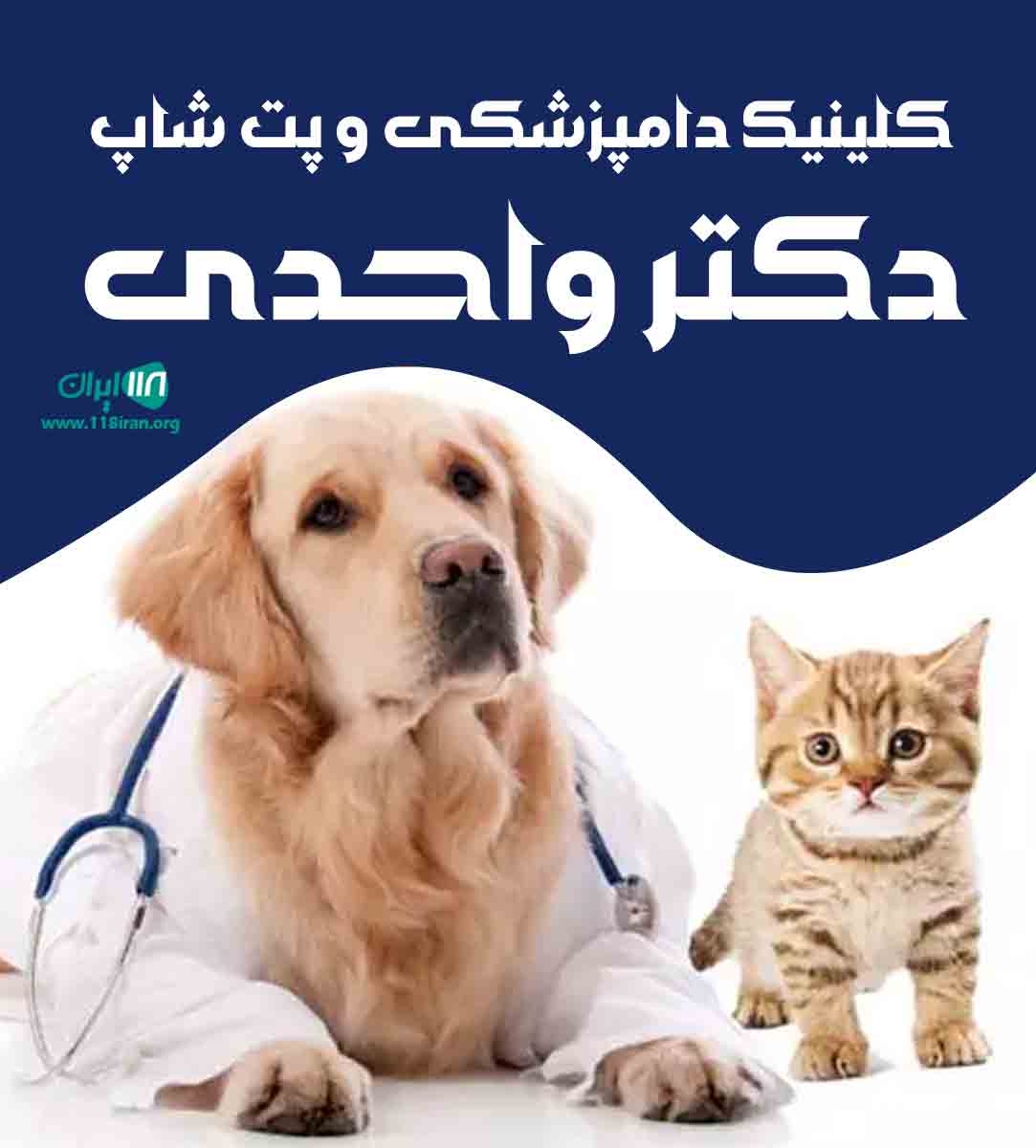 کلینیک دامپزشکی و پت شاپ دکتر واحدی در قائم شهر کلینیک دامپزشکی و پت شاپ دکتر واحدی در قائم شهر