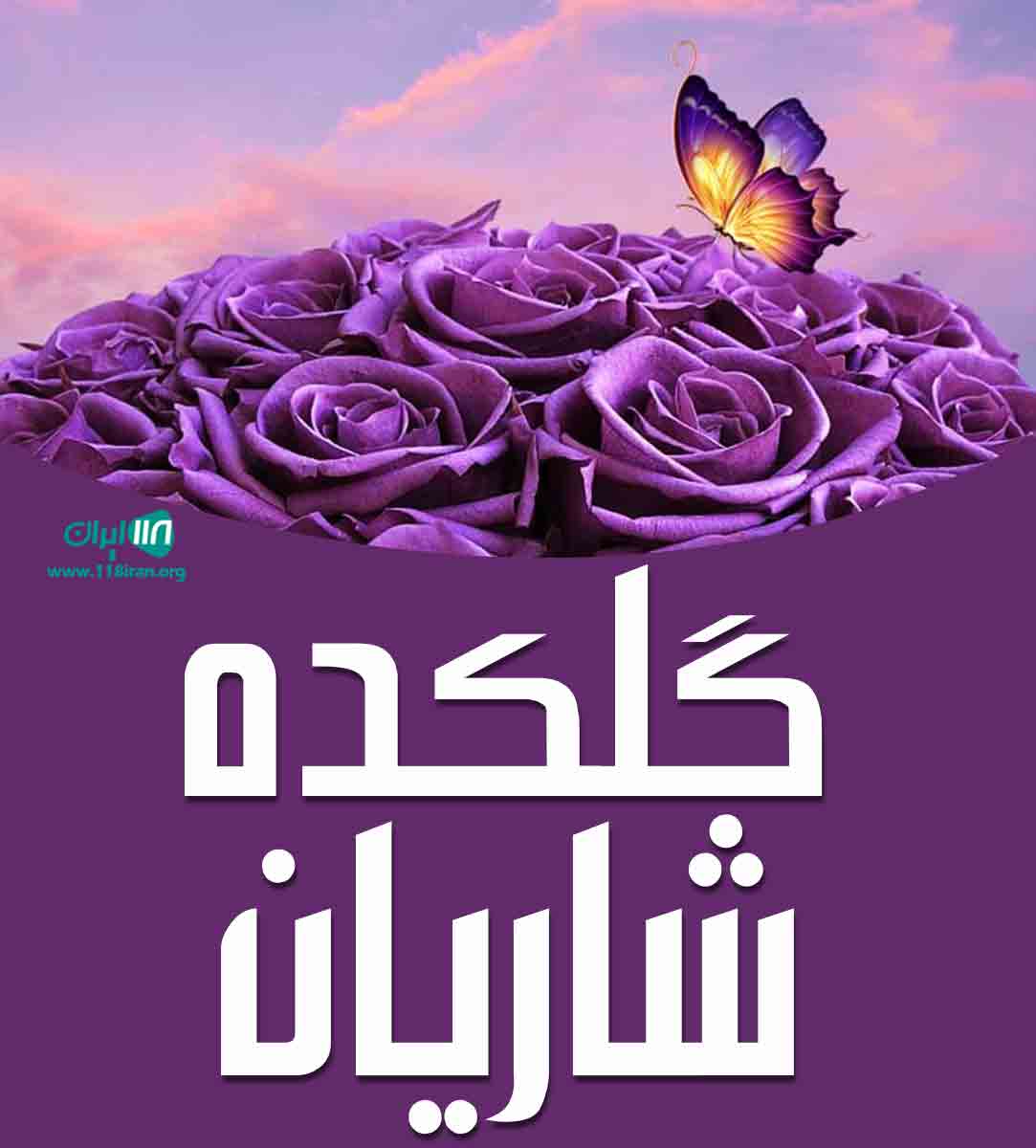 گلکده شاریان در رشت