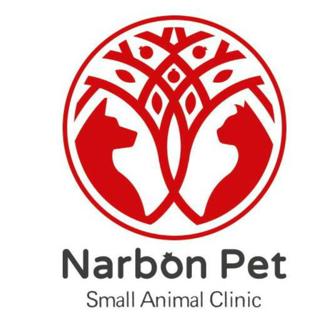 کلینیک دامپزشکی و پت شاپ ناربن در زرین شهر اصفهان کلینیک دامپزشکی و پت شاپ ناربن در زرین شهر اصفهان