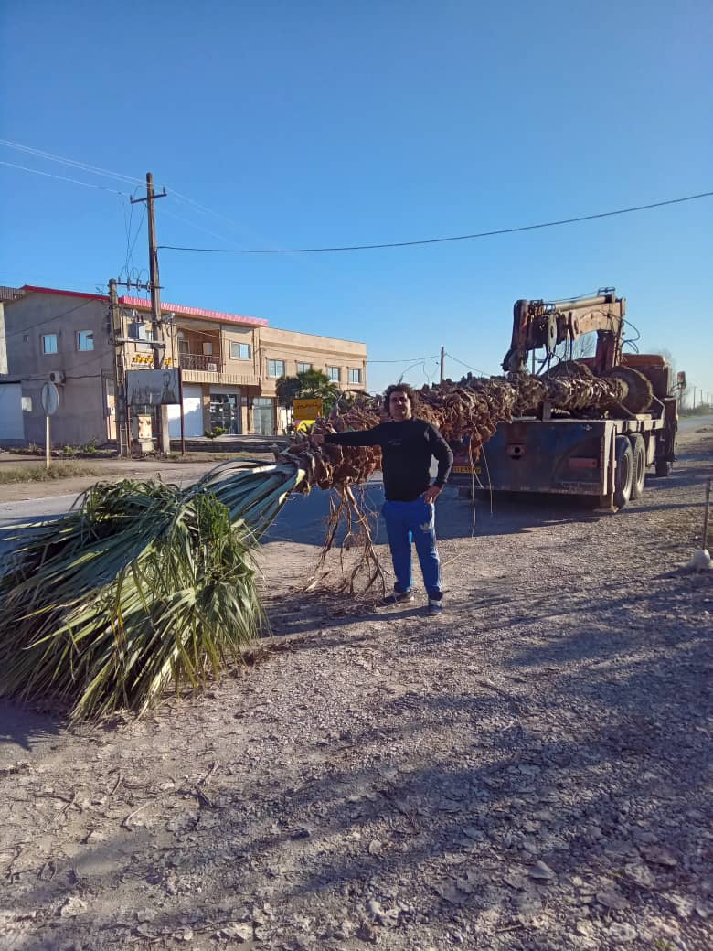 جرثقیل دانیال در محمودآباد