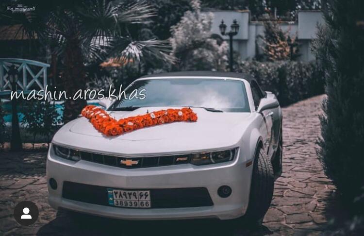 اجاره ماشین عروس و گل آرایی خاص امیر در رشت گیلان اجاره ماشین عروس و گل آرایی خاص امیر در رشت گیلان