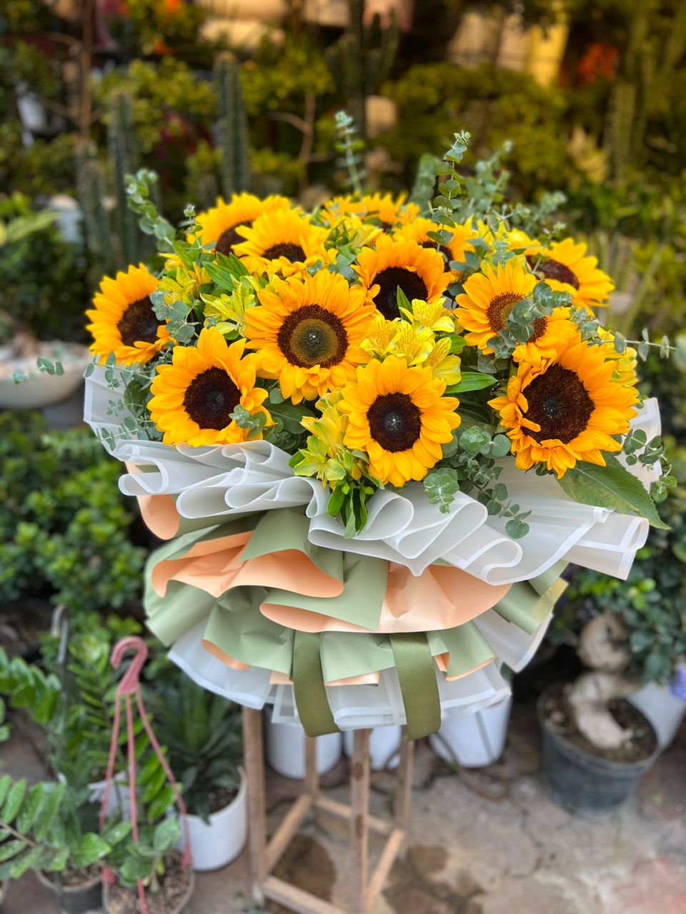 گلفروشی سیناگل در رشت گلفروشی سیناگل در رشت