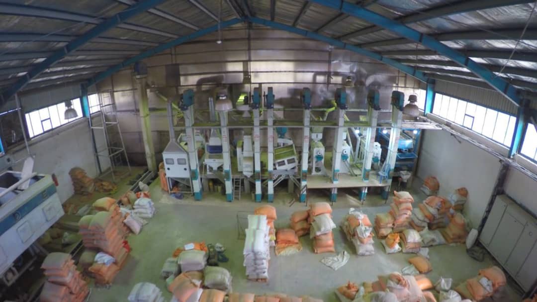 کارخانه شالیکوبی مدرن دنکو در گیلان کارخانه شالیکوبی مدرن دنکو در گیلان