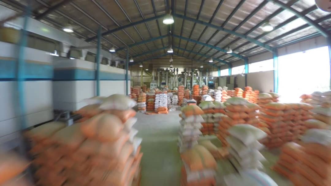 کارخانه شالیکوبی مدرن دنکو در گیلان کارخانه شالیکوبی مدرن دنکو در گیلان