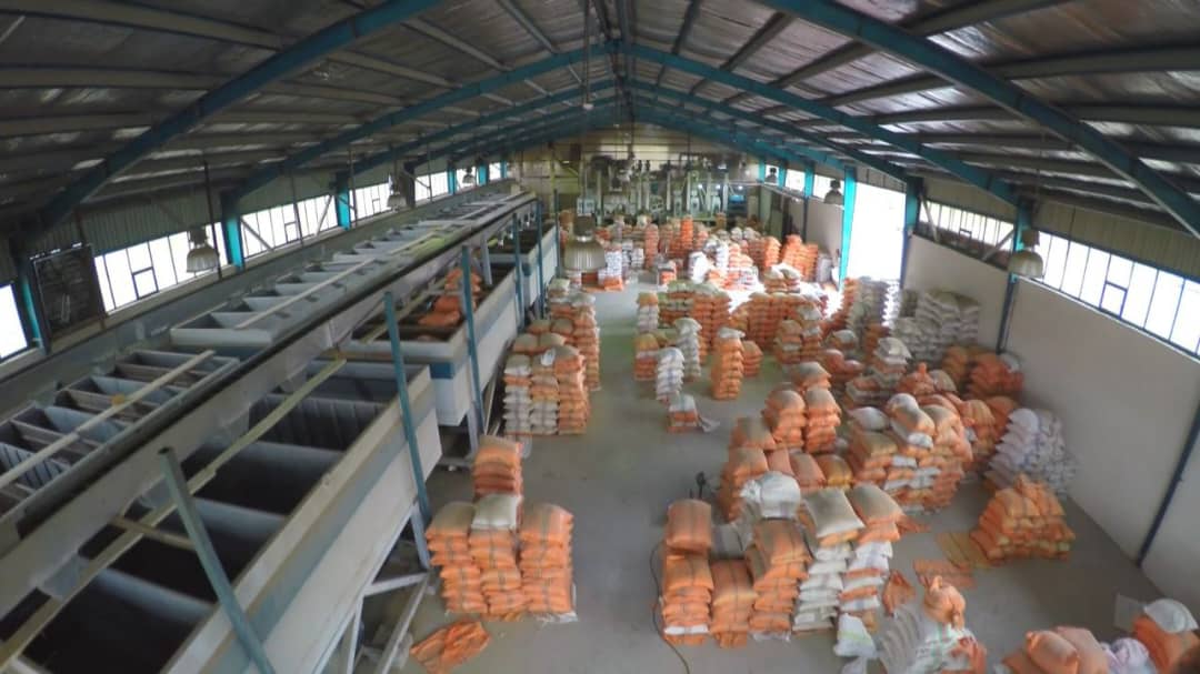 کارخانه شالیکوبی مدرن دنکو در گیلان کارخانه شالیکوبی مدرن دنکو در گیلان