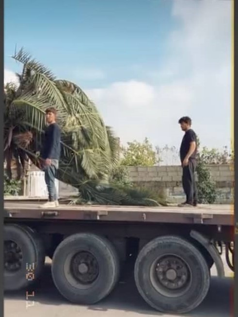 جرثقیل دانیال در محمودآباد