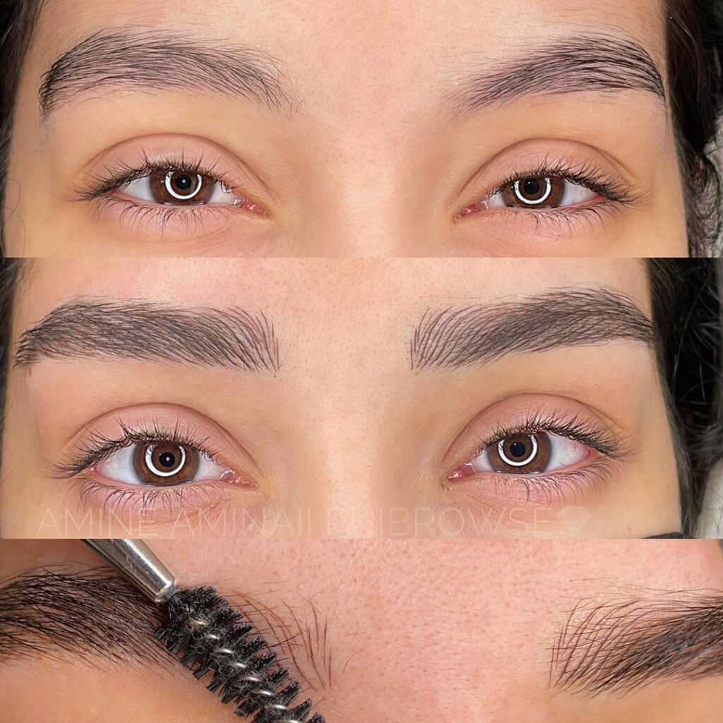 خدمات میکرو امینه امینایی در رفسنجان