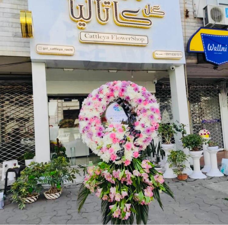 گلفروشی کاتالیا CATTLEYA در رشت