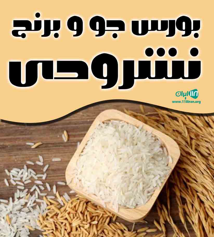 بورس جو و برنج نشرودی در لشت نشا بورس جو و برنج نشرودی در لشت نشا