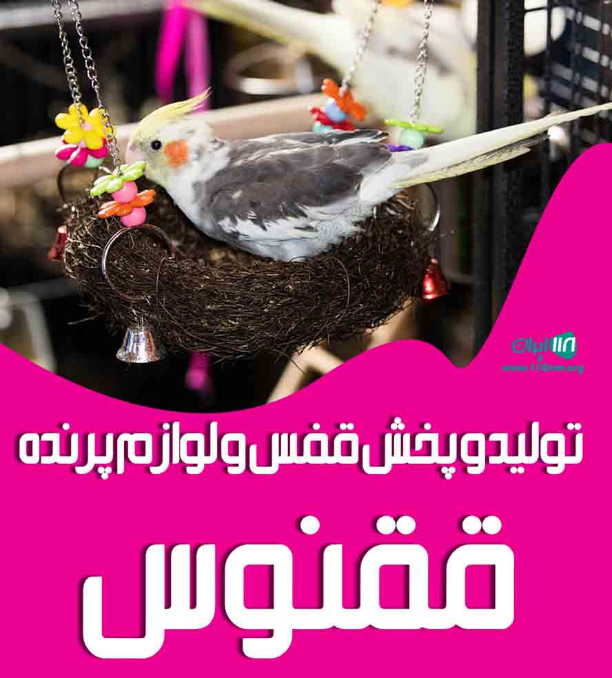 تولید و پخش قفس و لوازم پرنده ققنوس در تهران تولید و پخش قفس و لوازم پرنده ققنوس در تهران