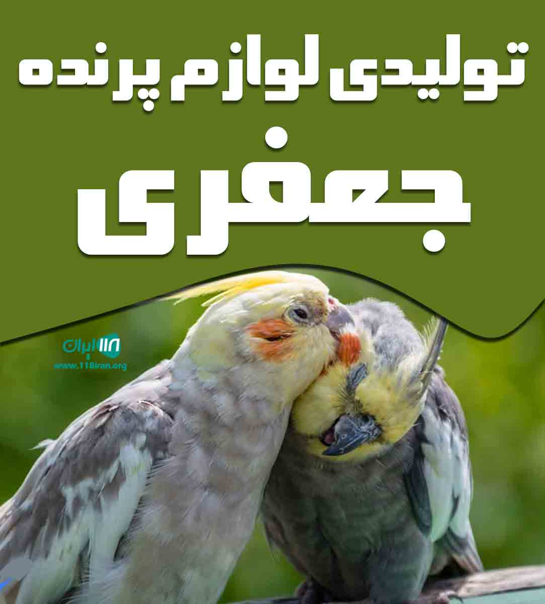 تولیدی لوازم پرنده جعفری در مشهد تولیدی لوازم پرنده جعفری در مشهد