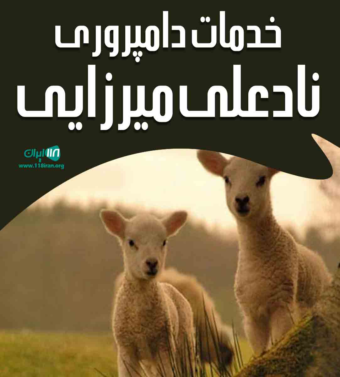 خدمات دامپروری نادعلی میرزایی در قزوین خدمات دامپروری نادعلی میرزایی در قزوین