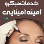 خدمات میکرو امینه امینایی در رفسنجان