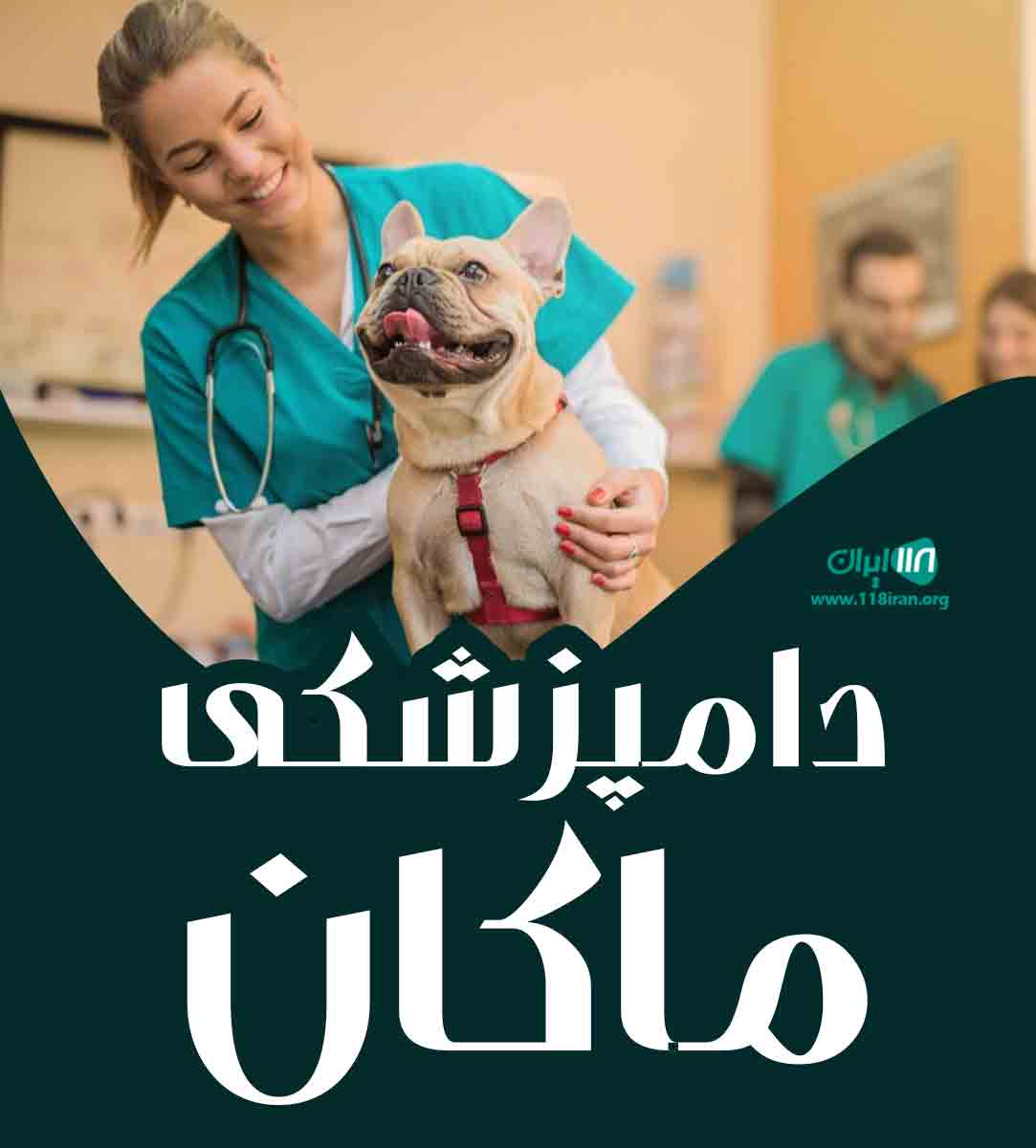 دامپزشکی ماکان در کرج دامپزشکی ماکان در کرج