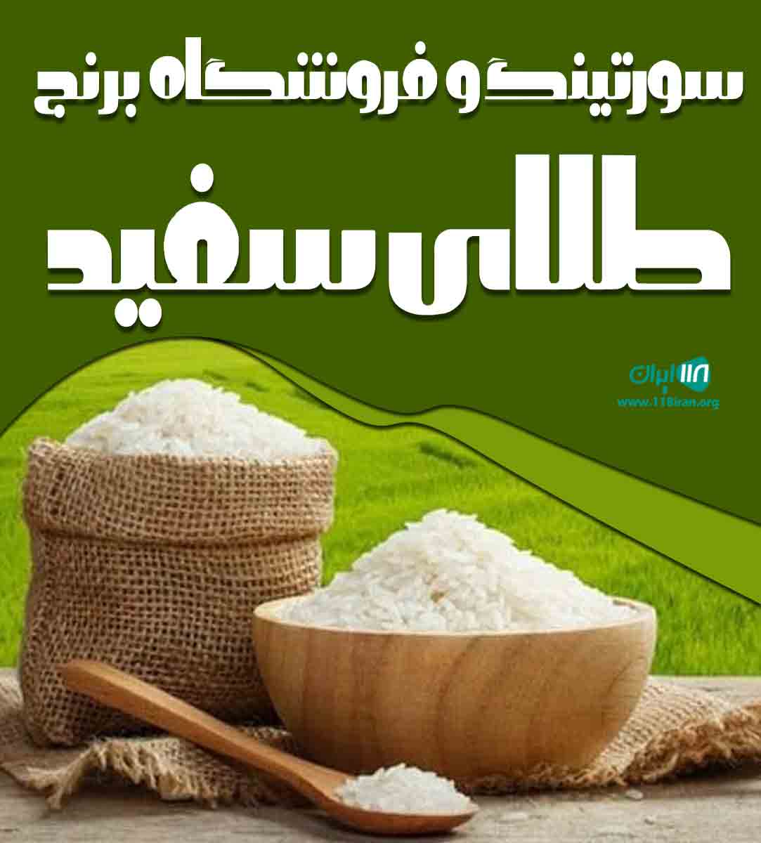 سورتینگ و فروشگاه برنج طلای سفید در مازندران